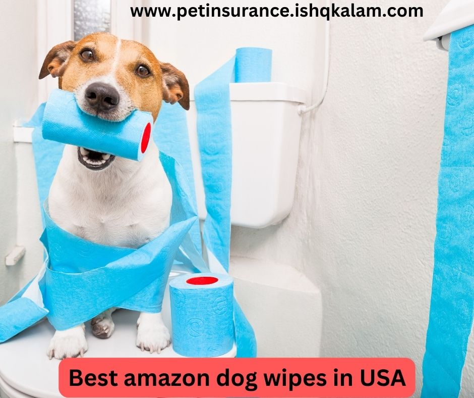 best amazon dog wipes in USA