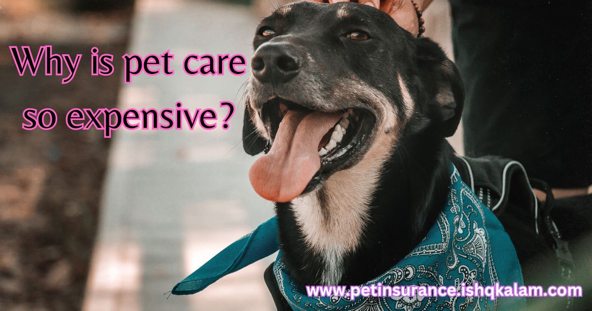 why is pet care so expensive in USA.