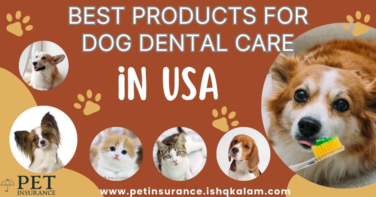 A happy dog enjoying a dental treat, showcasing the best products for dog dental care.