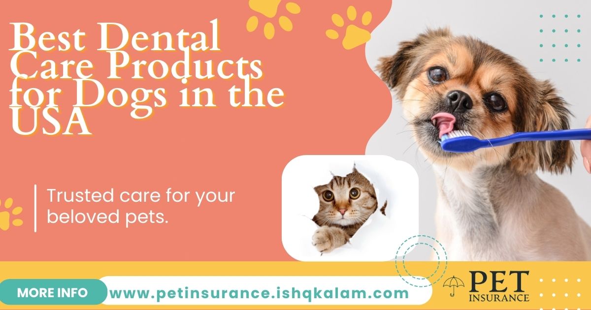 Best Dental Care Products for Dogs in the USA