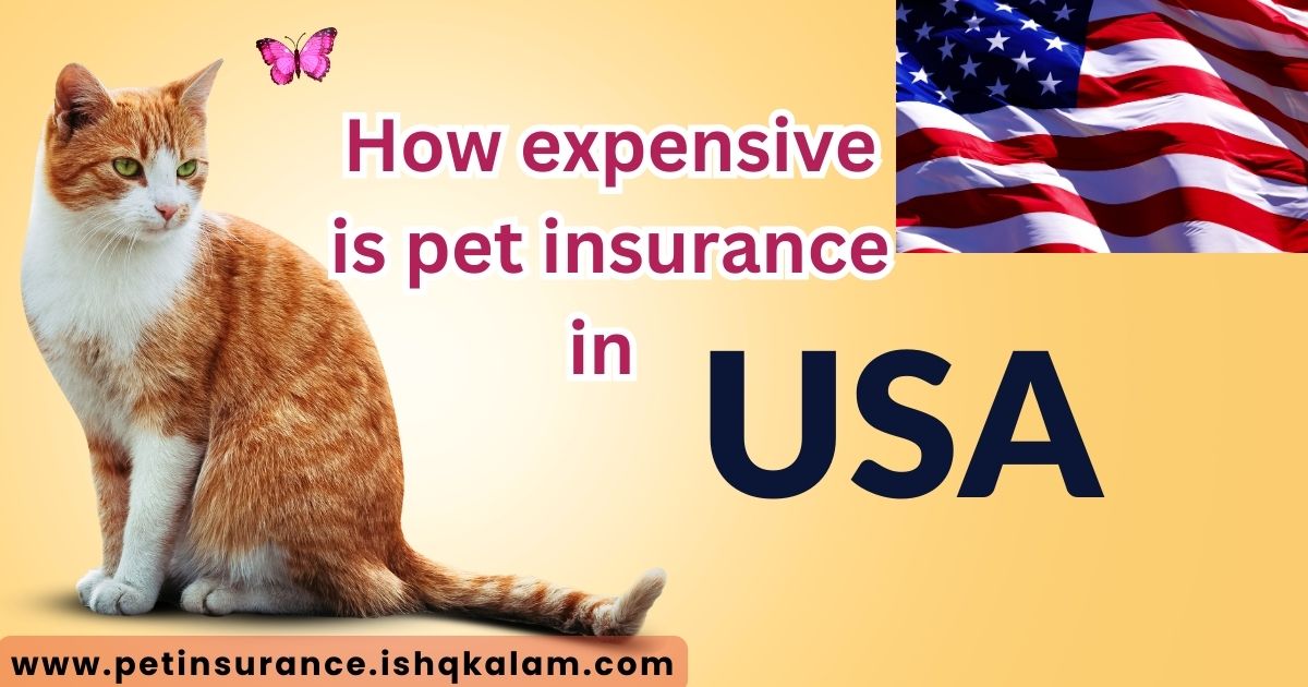 How expensive is pet insurance in