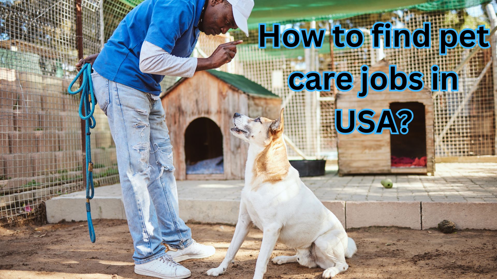 How to find pet care jobs in USA?