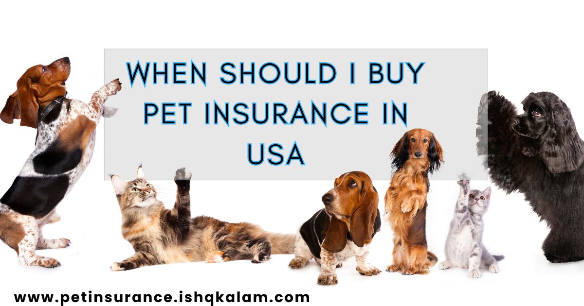 When Should I buy Pet insurance in USA